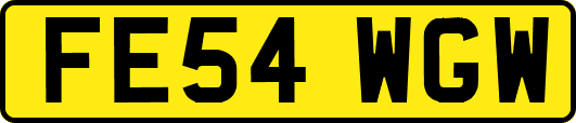 FE54WGW