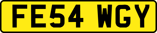 FE54WGY