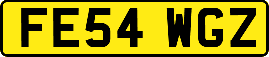 FE54WGZ