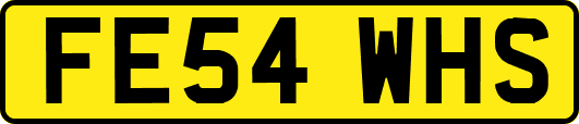 FE54WHS