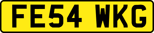 FE54WKG