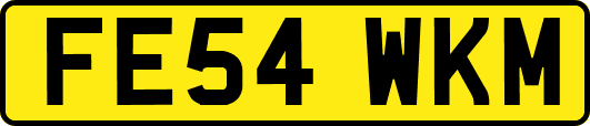 FE54WKM