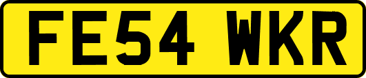 FE54WKR