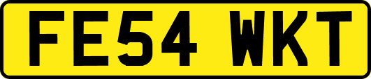 FE54WKT
