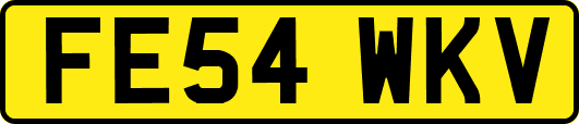 FE54WKV