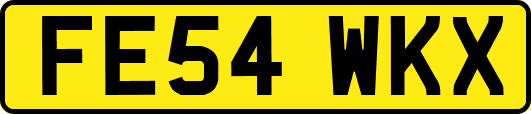 FE54WKX