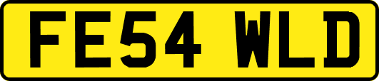 FE54WLD