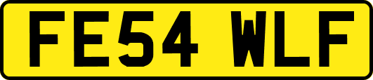FE54WLF