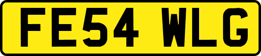 FE54WLG