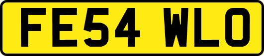 FE54WLO