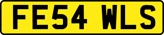 FE54WLS
