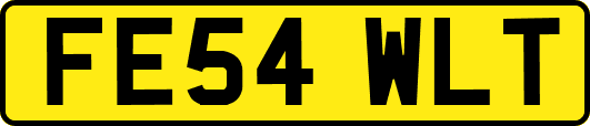 FE54WLT