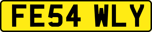 FE54WLY