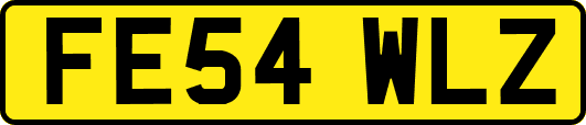 FE54WLZ