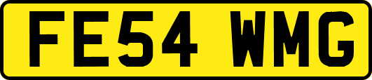 FE54WMG