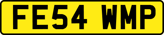 FE54WMP