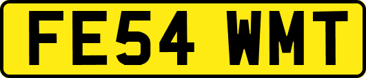 FE54WMT