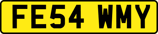 FE54WMY