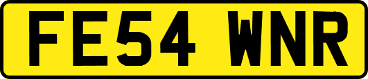 FE54WNR