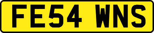FE54WNS
