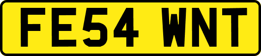FE54WNT