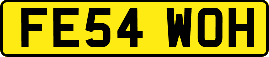 FE54WOH