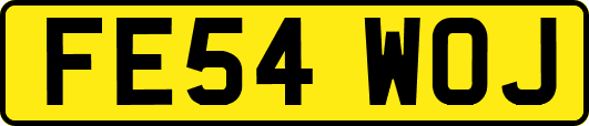 FE54WOJ