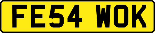 FE54WOK