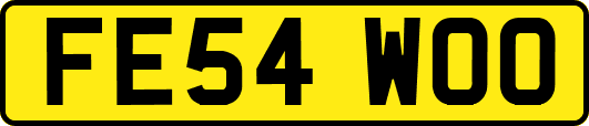 FE54WOO