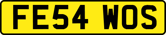 FE54WOS