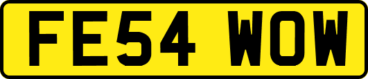 FE54WOW
