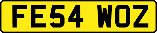 FE54WOZ