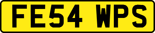 FE54WPS