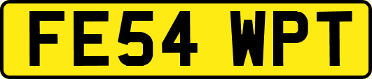 FE54WPT