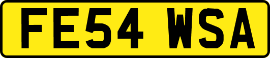 FE54WSA
