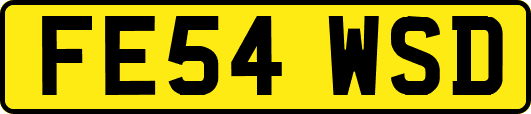 FE54WSD