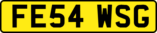 FE54WSG