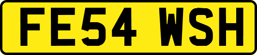 FE54WSH