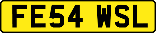FE54WSL