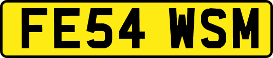 FE54WSM