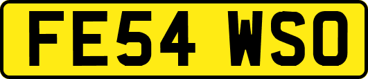 FE54WSO