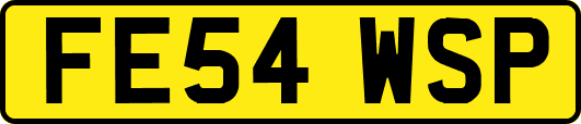 FE54WSP