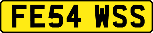 FE54WSS