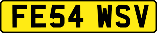 FE54WSV