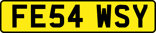 FE54WSY
