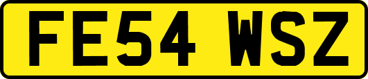 FE54WSZ