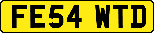 FE54WTD