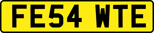 FE54WTE