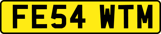 FE54WTM