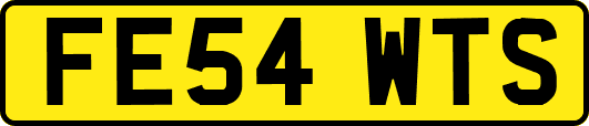 FE54WTS